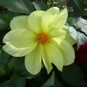 764dc47922c71d1ef7733273f5eebae4