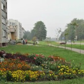 7fc62223040c128cd6a3a9725c29c4a2