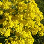 807bfc93696618f070a887dd6b9a8278