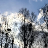 876652b4d6d975f1d0f75e3da38d09ee