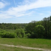 88a79f7d9bb6b7cc7f166a64c85542cf