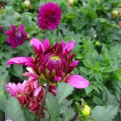 8956b73ae40b40ab52ed735d18000b4e