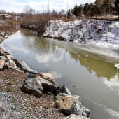 91929a8c4eca121334dbc68525c2dfdb