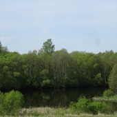 97253161425b12b485c9f89dff540e9a