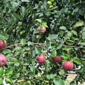 9d5d5127408eaca511eae96531b54c59