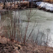 a0baf4024e3987e77045c34c7b457128