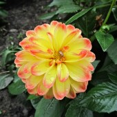 a2ee3cb1b18248b44014d37fada8fbe7