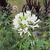 a963be0fcb4544b01ad98b919a6188ed