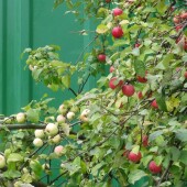 ac719ce92b64f25f97c9e87d3c810ff1