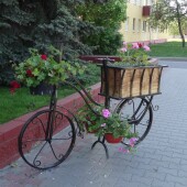 ade9b53e8611723b7c1867e1e011a4c3