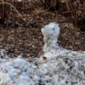 ae9e35a1610d9b5ff286b18537abdd92