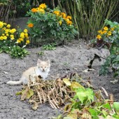 b35740a480846d68bb92a9eda615fcd5