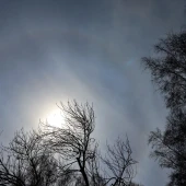 ba7a1247029f4327ec827bfc9d15664a