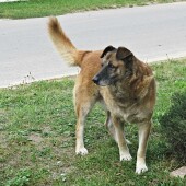 be9ef1305b5b72a1bb9dd2a4a9075ca4