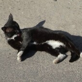 c144929553f2f37115205d8d23badfdf