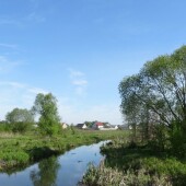 c1bbd0293195b3f8865a2282042d04c8