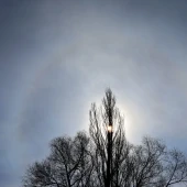 c4e8712d3f8cf534ed16c09c78856ee2