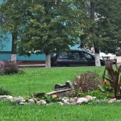 c6e56229a123d94de1f50f00f48ccc41