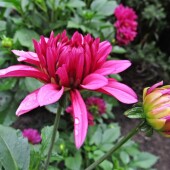 c6f418ef12183117d715f16330b658ea