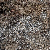 c93a6b3d9ba254b27fd5f798e12e8607