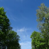 cb4311f429abb92b766384dd360b5190