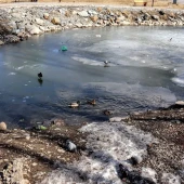 d2a4b525068480dc9ebea6ca43dfee4b