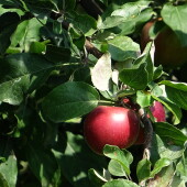 d6e1f31279679c8e0fba81eb7729fcc8