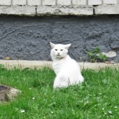 de3238ce83113a6ecfe09fce0f2bf8a1