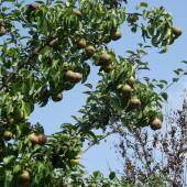 df7f76933c38bf91e239acadf12dc3cf