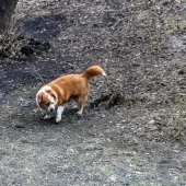 e39305ec5dcb251b6771ee01352d0c6c