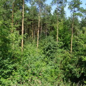 e58822a6741a4516e8d33d8323968bb7