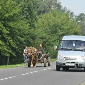 ed918b387f2f8f0ca6fd18df0d6a8a7f