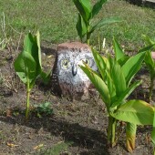 eeff531793e14eeea7b14095c60e6b9a