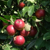 f1281b7df43930ff200f99250d252a5d