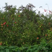 f3efca34a48200544c610f261a08e567