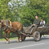 f70eadca8dfd7f0357b5f78461477a09