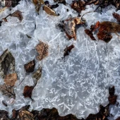 f7fa2a9c3a39178ae05ca9fefb32f75f