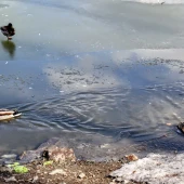 ff98212f3128144d80990bbdfb273856