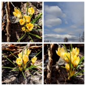 13843cbf393b74c833b4096576559ec9