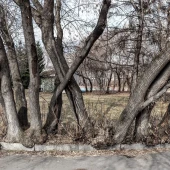 d69a420254fa06ad9b57fb785727e263