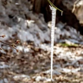 e49951aeee5fb5b27785831205e47eb1