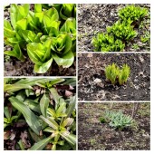 f08fae449f08fff1c0021aeb1ec5b29e