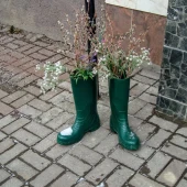 0113e303b68197aa86154b60189be1e6