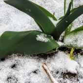 1fae788a87097ee81db686fca50f3030