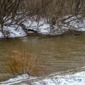 53566999d5a1b831d6e38b5bae594dcc