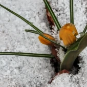 6bf5d0df334e47a2976d82c93e1dc579