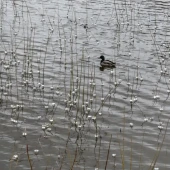 932b7f0ff4a76398387637016ef57396