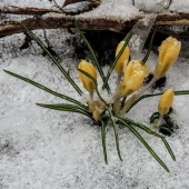 9b068c688f7e856a288c6a367c55a299