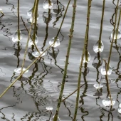 a86ca3e0c5740a0d60b4b1ad2c8d35df