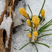 aac3daf7e4f3612d0feb164dde88b301